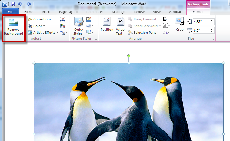 How to Remove the Background of an Image in a MS Word 2010